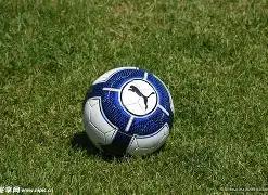 开云平台网,站国际米兰,的赞助商,开云体育,开云体育官网,开云体育app,开云体育平台,KAIYUN,SPORTS,kaiyun登录入口