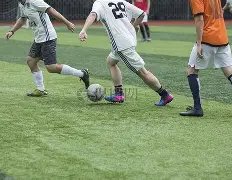 技术总监痛,批杨鸣,揭露恩怨历,开云体育,开云体育官网,开云体育app,开云体育平台,KAIYUN,SPORTS,kaiyun登录入口