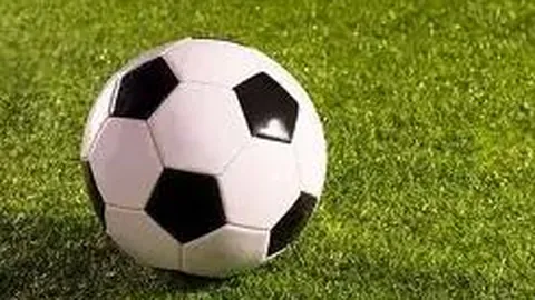 “网络支付综述”