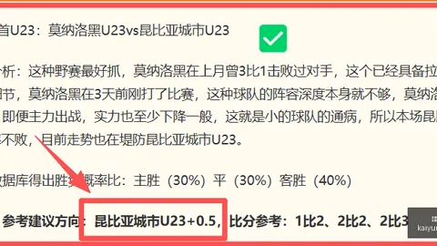 开云平台网站国际米兰的赞助商开云平台官网突发变动结果已公