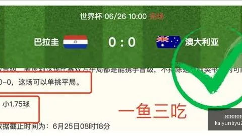 开云平台网站国际米兰的赞助商 111623 9