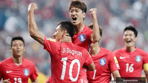 开云平台网站国际米，体育合作，兰的赞助商 123311 23