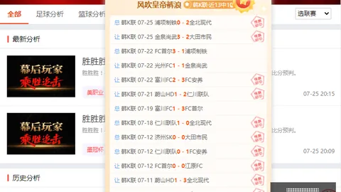开云平台网站国际米兰的赞助商 123723 6