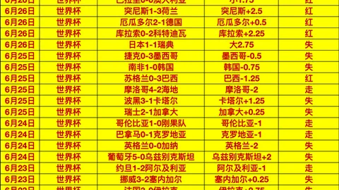 开云平台网站国际米兰的赞助商 124316 5
